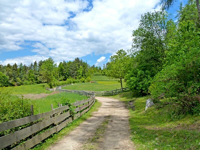 weg weg