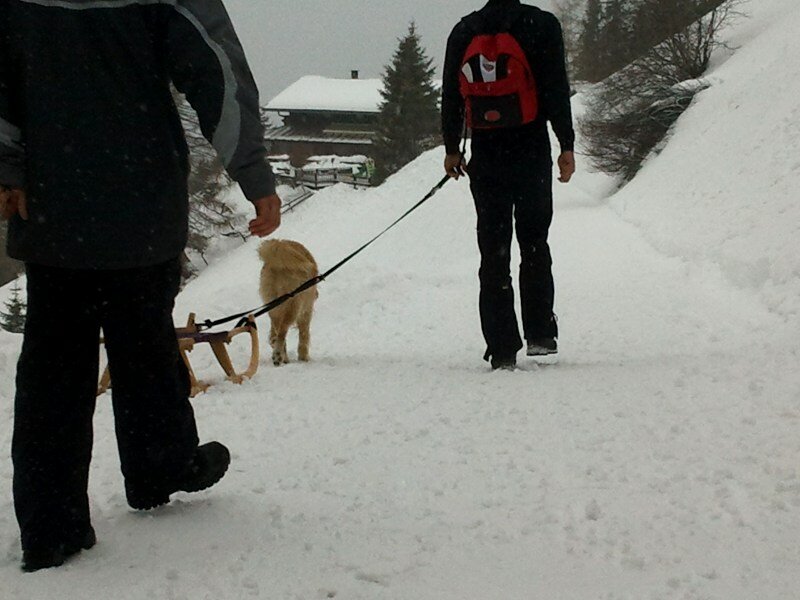 Winterwanderung zur prantner alm südtirol