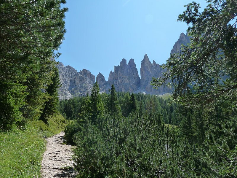 Wanderung zur haniger schwaige und plafötsch alm südtirol