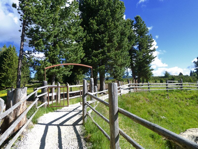 Wanderung auf die villanderer alm villanders südtirol