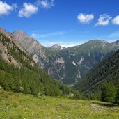 alpenrosen am burgumer berg mit ueberseilspitze und leitnerwand bis talauswaerts fr
