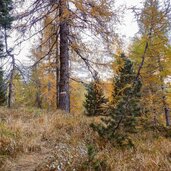 Mittagspitz