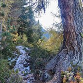 Mittagspitz