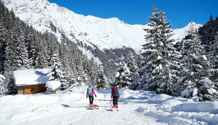 landschaft personen wandern schlitten rodel winter