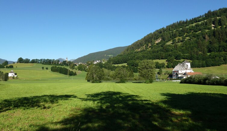 wiesen pfitsch schloss moos dahinter flains