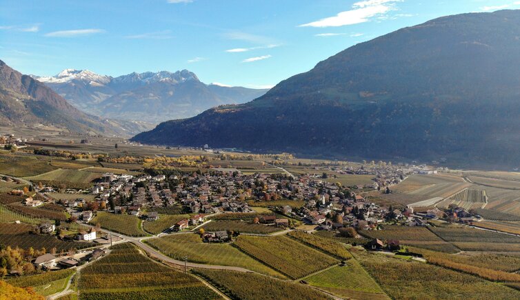 dji rabland