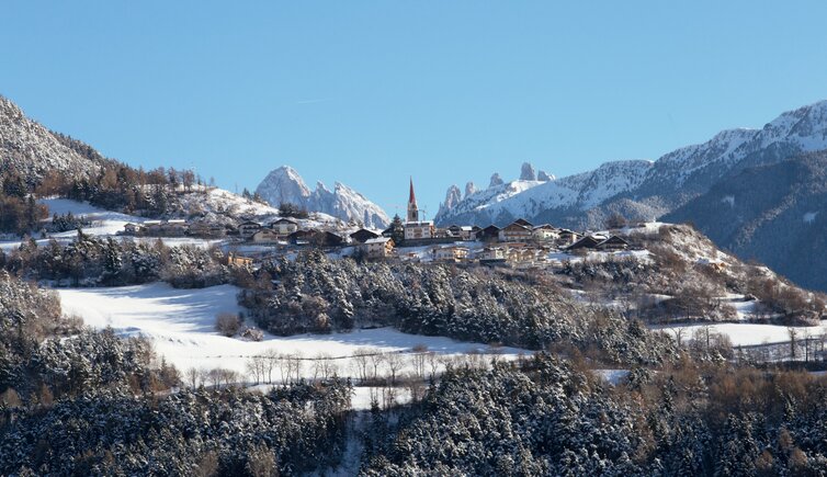 Teis WInter