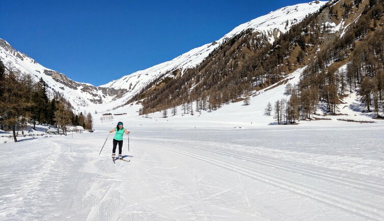 schlinig tal langlauf bei schliniger alm