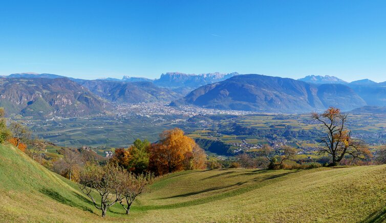 herbst aussicht auf bozen ab buchwald Pano