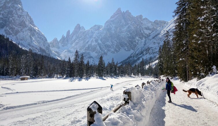 Val Fiscalina fischleintal winter inverno langlaufen loipen sci da fondo pista sextner dolomiten