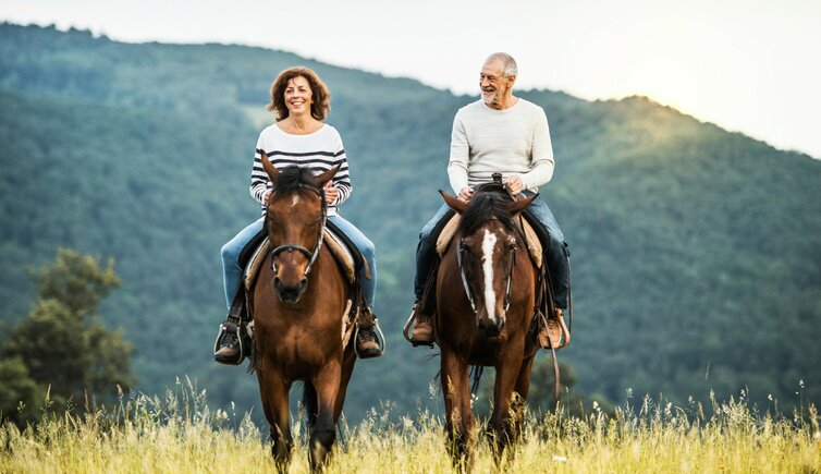 Pferde Reiten Suedtirol