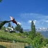 Vorbei am Ansitz Hochfrangart kann man auch einige der Kunstwerke in freier Natur beobachten. Foto: AT, &copy; Peer
