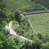 Der Radweg nach Eppan beim Durchqueren der Weing&auml;rten nahe Frangart. Foto: ED, &copy; Peer