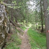 badia wanderweg A von oies nach castalta wald