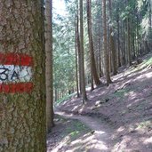 wanderweg geotrail nahe panider sattel wald markierung