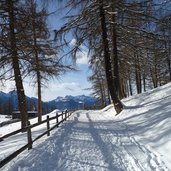 winter wanderweg vigiljoch blick richtung ultener berge