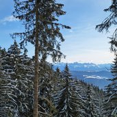 winterwald vigiljoch dolomitenblick