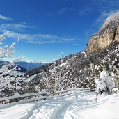 tiers winterwald weg nr bei wuhnleger viel schnee