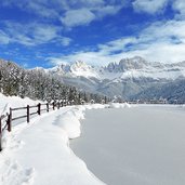 wuhnleger weiher tiers winter blick auf rosengarten