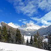 rosengarten winter ab st zyprian