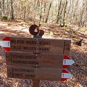 wegweiser wilder mann buehel