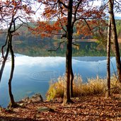 herbst am kleinen montigglersee