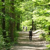 wanderer montiggler see forstweg vergessl