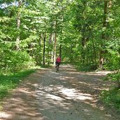 radfahren montiggler wald