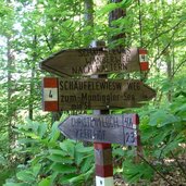 schaeufelewiesenweg