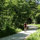 radweg montiggler wald