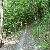 schoener singletrail kaiserberg