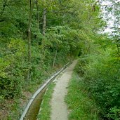 latschanderwaal nordwestlich von latsch