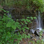 galsauner bach zufluss
