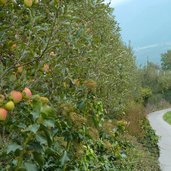 abstieg nach tschars apfel