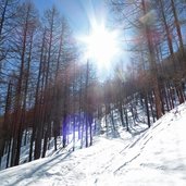 lafetzweg winterwanderweg schnals