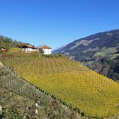 Passeiertal Riffian Herbst Obst Weinbau