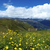 weg von sillian zu sillianer huette dahinter fuellhorn berg