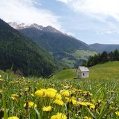 weg a niederflans mauls kapelle wiesen