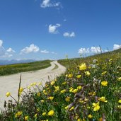 weg nr richtung astjoch rodenecker alm