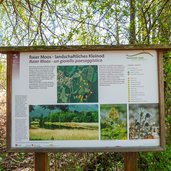 infotafel raier moos bei raas natz schabs