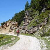 RS forststrasse weg mtb richtung duerrensteinhuette mtb