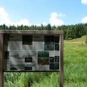 RS stfelix see felixerweiher tretsee moorschild