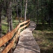 RS voelser weiher waldweg feuchtgebiet