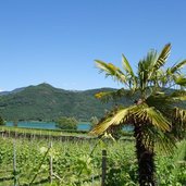 RS st josef am see blick richtung leuchtenburg