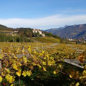 RS weinberge oberhalb schloss moos schulthaus herbst blick richtung freudenstein