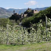 RS Schloss Sigmundskron Fruehling