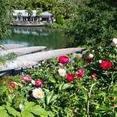 RS Botanische Gaerten von Trauttmansdorff Seerosenteich Cafe