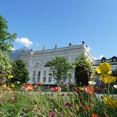 RS meran kurhaus fruehling fruehjahr blumen