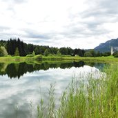 fennberger see fenner see