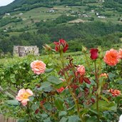 neumarkt ortsteil mazon schloss burg ruine kaldiff caldiff dahinter glen